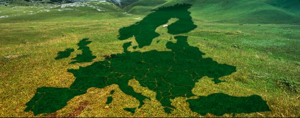 Wie wird in der EU Umweltpolitik gemacht?