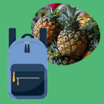 Symbilder: Rucksack und Ananas