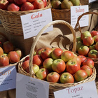 Verschiedene Apfelsorten zum Verkauf