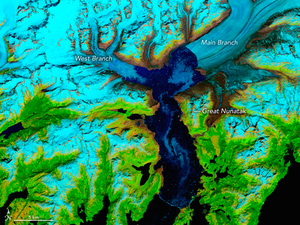 Blick auf die Erdoberfläche: Der Columbia-Gletscher 1986