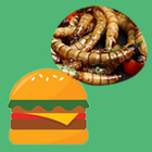 Symbolbilder: Würmer und Hamburger