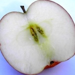 Aufgeschnittener Apfel; blauer Hintergrund.