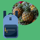 Die Entwicklung der Bioökonomie kann dann nachhaltig sein und einen Mehrwert bieten, wenn die begrenzte Verfügbarkeit von Biomasse berücksichtigt wird. Symbilder: Rucksack und Ananas
