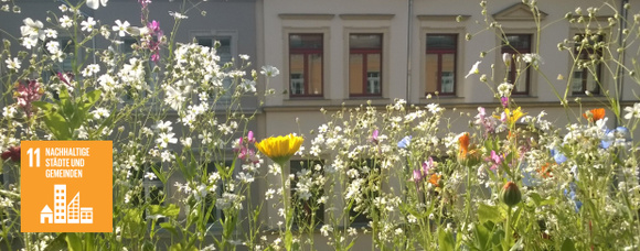 Blumenwiese und Häuser im Hintergrund.