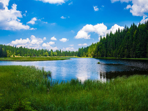 Böhmerwald - Bayerischer Wald 