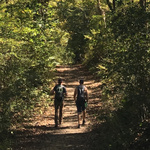 Zwei Wanderer laufen über einen Weg im Wald.
