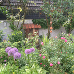 Ein naturnaher Garten mit vielen Pflanzen und Nisthilfen