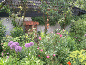 Lebensraum Siedlungsgebiet: Vielfältiger Garten 