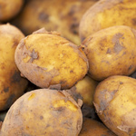 Einige Kartoffeln