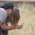 Zwei Mädchen auf einer Wiese fotografieren eine Blume mit einem Smartphone.