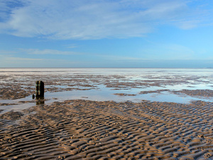 Nationalpark Niedersächsisches Wattenmeer