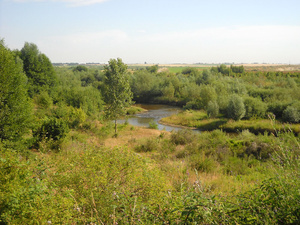 Renaturierte Bergbaufolgelandschaft