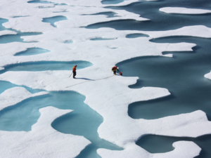 Klimawandel und Versauerung der Meere