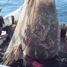 Ein volles Fischernetz