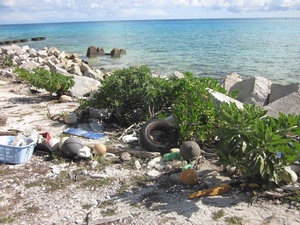 Was passiert, wenn Plastikmüll im Meer landet? (2)