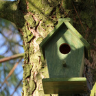 Außer Blumen und Blüten brauchen Insekten und andere Tiere auch einen Unterschlupf. Ein Vogelhaus an einem Baum