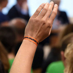 Abstimmung mit der Hand