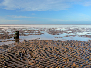 Was ist das Besondere am Wattenmeer?