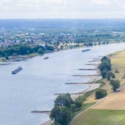 Rheinaue bei Zons Luftbild: Blick auf den Rhein. Links im Bild der Fluss, rechts Wiesen und Felder in Ufernähe und ein Deich