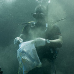 Taucher sammelt Müll im Meer.