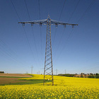 Um den gesamten Energiebedarf durch erneuerbare Energien zu decken, wird es noch viele Jahre brauchen. Vor allem der Ausbau der Erzeugungsanlagen und Netze ist aufwändig. Strommastnund Stromleitungen auf einem Feld