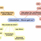 Eine Mindmap zum Artensterben