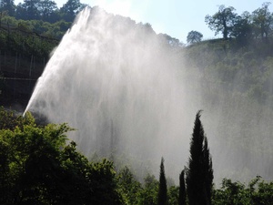 Wasser sorgt für eine größere Ernte