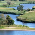 Blick von einer Anhöhe auf die mäandernde Elbe und Nebengewässer, an den Ufern vereinzelte Bäume, angrenzend Wiesen und Felder