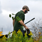Ein Mann mit grüner Gärtner-Kleidung hat einen Eimer und eine Schaufel in der Hand und befindet sich vor grünen Pflanzen. 