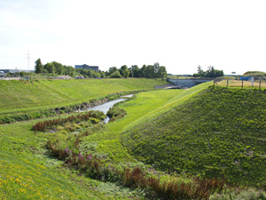 Der renaturierte Torfheider Bach im Ruhrgebiet 