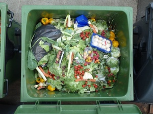 Viele Lebensmittel landen im Müll