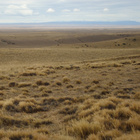 Eine Aufnahme von einer Steppe mit wolkigem Himmel.