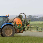 Pflanzenschutzmittel könnten einer von mehreren Faktoren sein, die zum Bienensterben beitragen. Traktor sprüht Pestizide