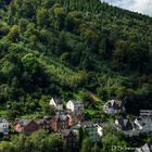 In Deutschland ist fast ein Drittel der Fläche mit Wald bedeckt. Bewaldeter Hanf im Sauerland mit einigen anliegenden Häusern.