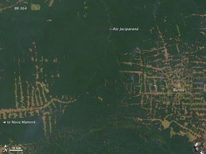 Abholzung: Rondônia in Brasilien im Jahr 2000