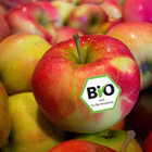 Apfel mit deutschem Biosiegel