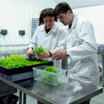 Ein Mann und eine Frau mit weißem Kittel stehen in einem Labor, in dem Pflanzen gezüchtet werden. 