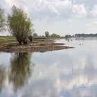 Ein Gewässer mit Natur umgeben.