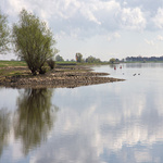 Ein Gewässer mit Natur umgeben.
