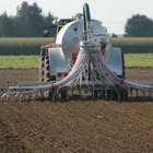 Dünger wird aus Anhänger auf Feld verteilt.