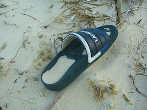 Was landet alles im Meer? (7)