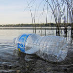 Eine Plastikflasche treibt auf einem See.