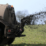 Ein Tankfahrzeug schleudert Gülle auf einen Acker.