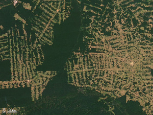Abholzung: Rondônia in Brasilien im Jahr 2012