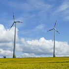 Zwei Windräder auf einem Rapsfeld