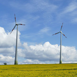 Zwei Windräder auf einem Rapsfeld