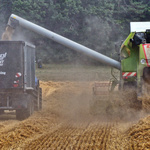 Mähdrescher fährt über Feld und mäht.