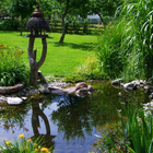 Ein Teich im Garten