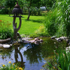 Im Idealfall finden sich in einem Garten vielfältige Strukturen: Bäume, Hecken und Wiesen, kleine Wasserstellen oder Teiche, Trockenmauern und Steingärten ebenso wie bunte Blumen-, Kräuter- und Gemüsebeete. Ein Teich im Garten