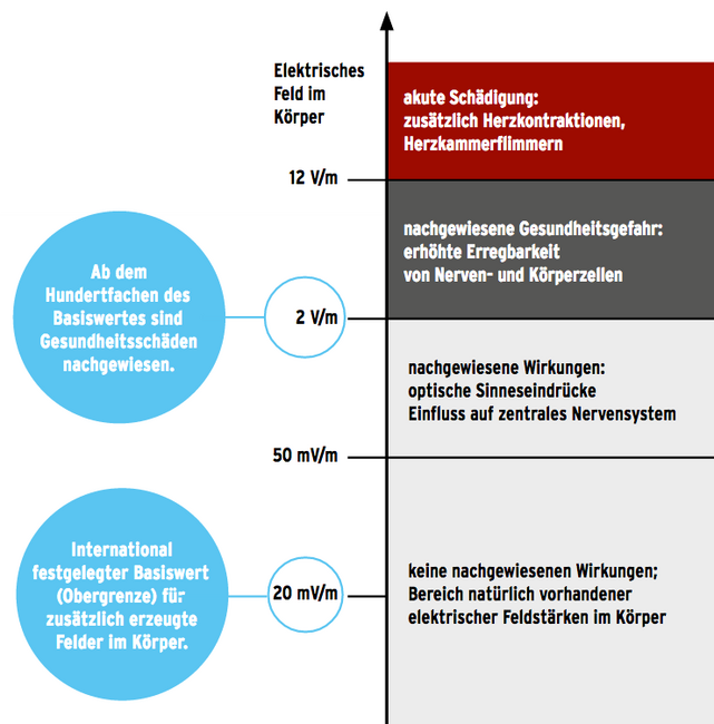 Das Stromnetz Und Stromleitungen Umwelt Und Gesundheit Umwelt Im Unterricht Materialien Und Service Fur Lehrkrafte Bmub Bildungsservice Umwelt Im Unterricht